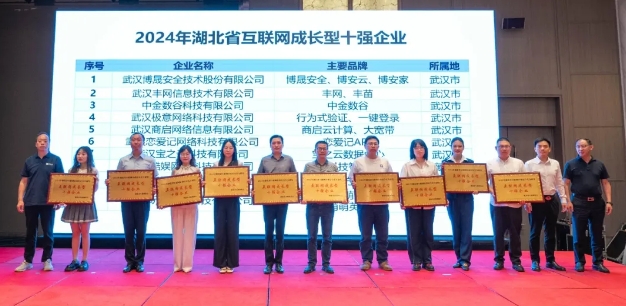 喜报丨武汉丰网荣膺“2024年湖北省互联网成长型十强企业”